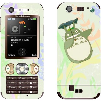   «  »   Sony Ericsson W890