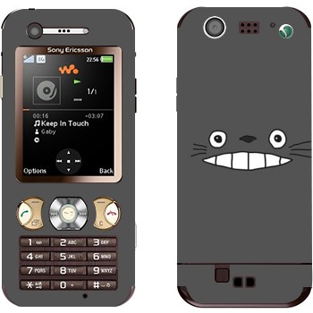 Sony Ericsson W890