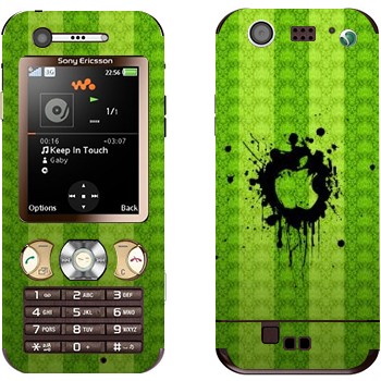 Sony Ericsson W890