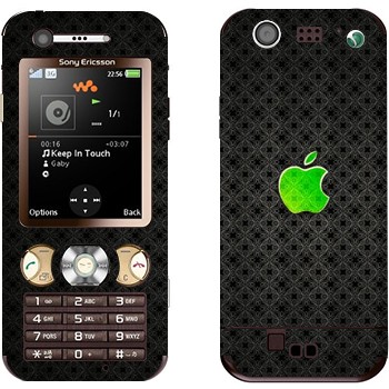   « Apple  »   Sony Ericsson W890