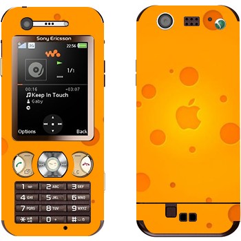 Sony Ericsson W890