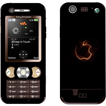 Sony Ericsson W890