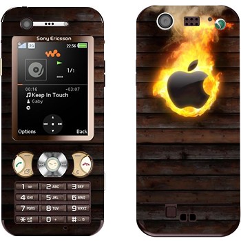 Sony Ericsson W890