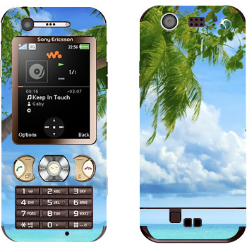 Sony Ericsson W890