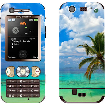 Sony Ericsson W890