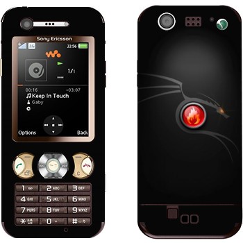 Sony Ericsson W890