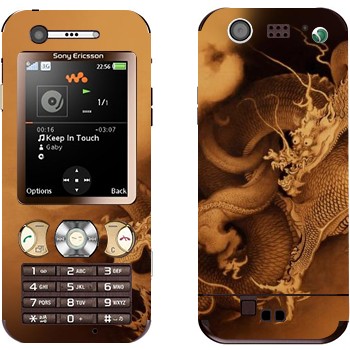 Sony Ericsson W890