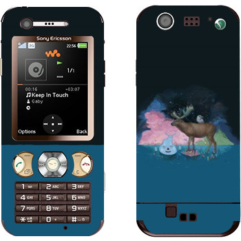 Sony Ericsson W890