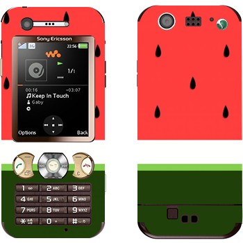   «  »   Sony Ericsson W890