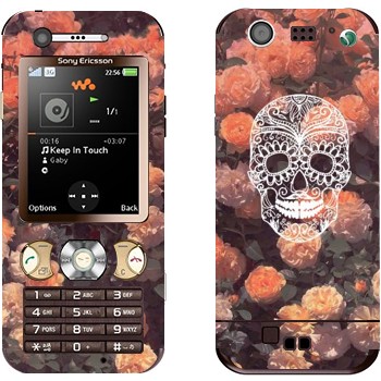 Sony Ericsson W890