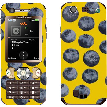 Sony Ericsson W890