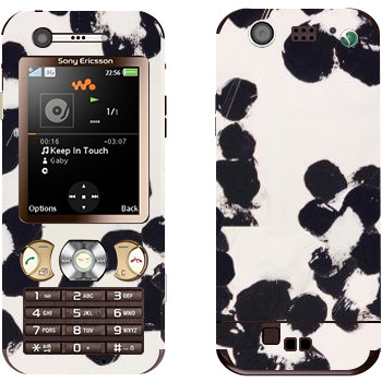 Sony Ericsson W890