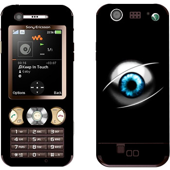   «»   Sony Ericsson W890