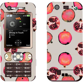 Sony Ericsson W890