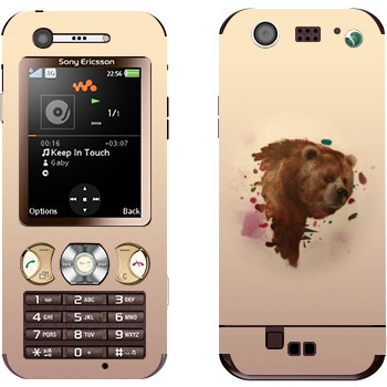 Sony Ericsson W890