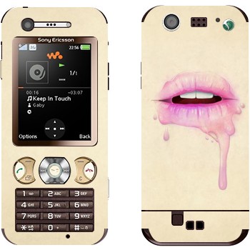 Sony Ericsson W890