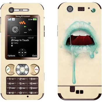 Sony Ericsson W890