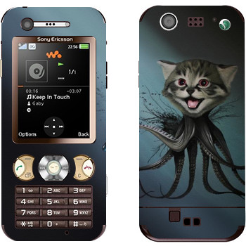 Sony Ericsson W890