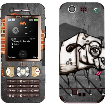 Sony Ericsson W890