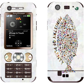 Sony Ericsson W890