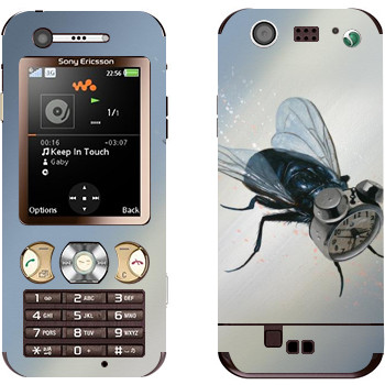 Sony Ericsson W890