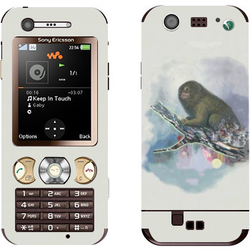 Sony Ericsson W890