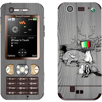 Sony Ericsson W890