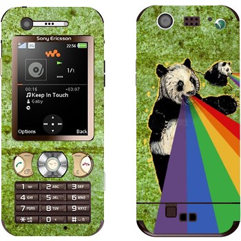 Sony Ericsson W890