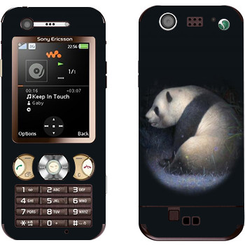 Sony Ericsson W890