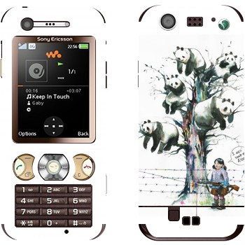   «  »   Sony Ericsson W890