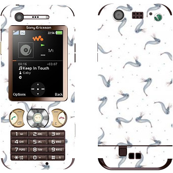 Sony Ericsson W890