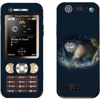 Sony Ericsson W890