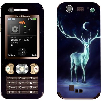 Sony Ericsson W890