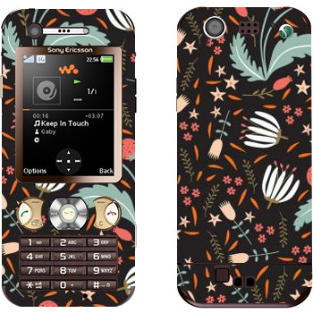 Sony Ericsson W890