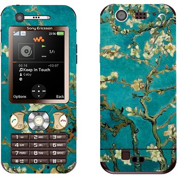 Sony Ericsson W890