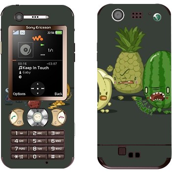 Sony Ericsson W890