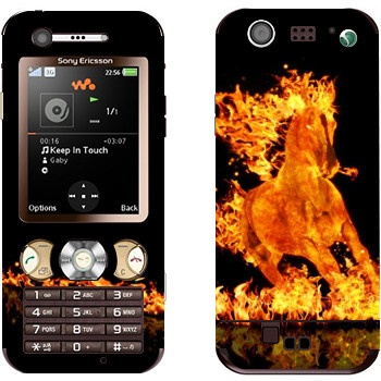   « »   Sony Ericsson W890