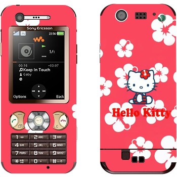   «Hello Kitty  »   Sony Ericsson W890