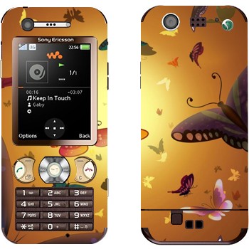 Sony Ericsson W890