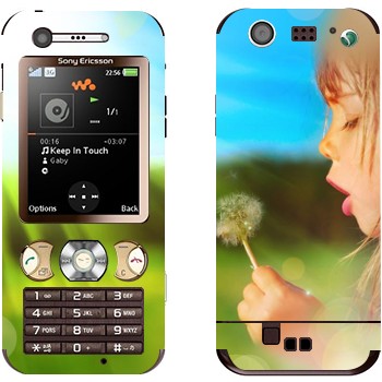 Sony Ericsson W890