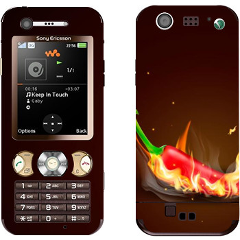 Sony Ericsson W890