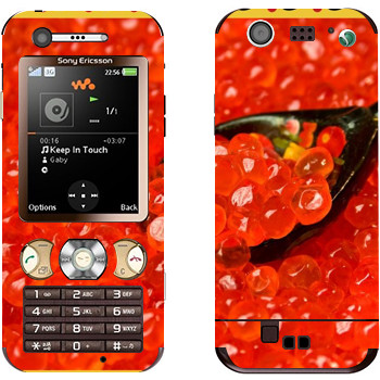 Sony Ericsson W890