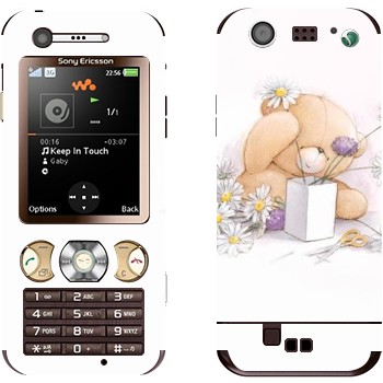 Sony Ericsson W890