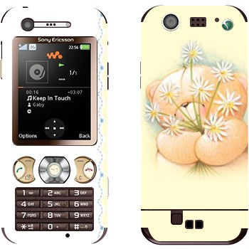 Sony Ericsson W890