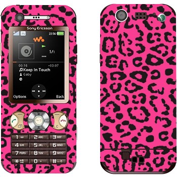   «  »   Sony Ericsson W890