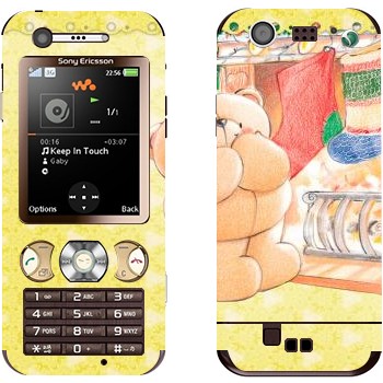 Sony Ericsson W890