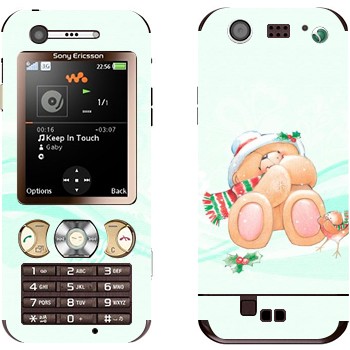 Sony Ericsson W890