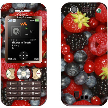 Sony Ericsson W890