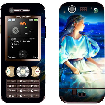   «  »   Sony Ericsson W890