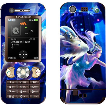 Sony Ericsson W890